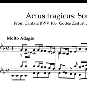 Pianotranscriptie van de Sonatine van de Actus tragicus BWV 106 “Gottes Zeit ist die allerbeste Zeit”